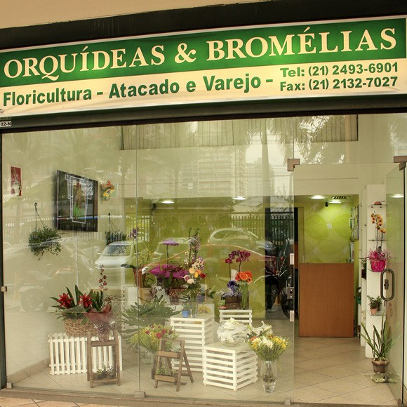 Orquídeas e Bromélias