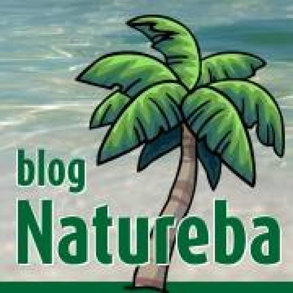 Clique para listar os produtos da marca: Blog Natureba