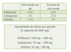 Chá Verde - 220 cápsulas + 20 de 500mg - Tiaraju